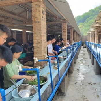 廣州可以野炊做飯團建的地方