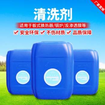 ANNUO反滲透膜清洗劑 鍋爐清洗除垢劑