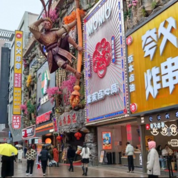 深圳滿意度咨詢(SSC)完成長沙黃興廣場客流量調查工作