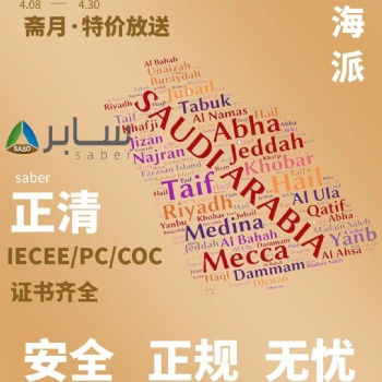 沙特雙清包稅國際貨運(yùn)代理服務(wù)