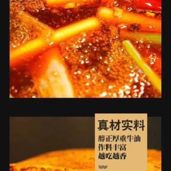 重慶老火鍋底料廠家，一次性重慶老火鍋底料批發板料bl2208-01/500克
