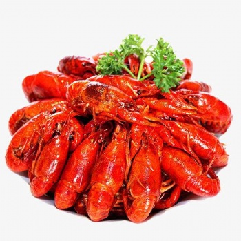 武漢辣鹵小龍蝦底料廠家，武漢油燜小龍蝦底料批發，蒜泥小龍蝦底料批發xll2260-5