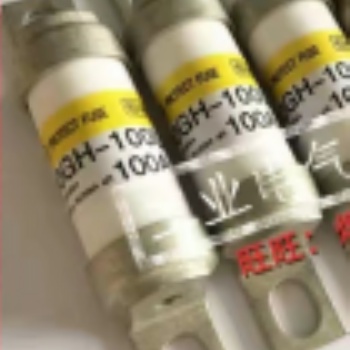 美國熱電賽默飛5014iBeta環(huán)境顆粒物監(jiān)測儀備件保險(xiǎn)絲