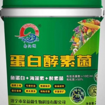山東廠家生產(chǎn)蛋白酵素菌