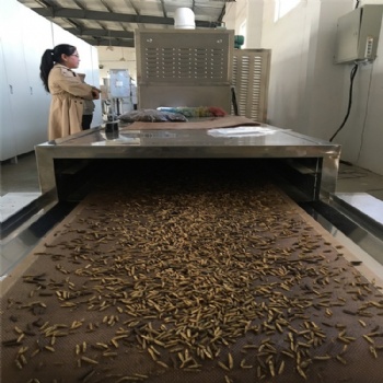 黃粉蟲微波烘干設(shè)備烘烤烘焙機
