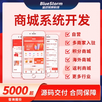 商城系統(tǒng)開發(fā)|實力公司，app開發(fā)、小程序開發(fā)、微信開發(fā)、網(wǎng)站