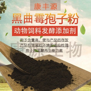 黑曲霉孢子粉 飼料發(fā)酵菌種 家禽家畜養(yǎng)殖用菌種