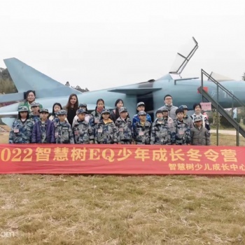武裝直升機模型 弘訊模型一比一鐵藝仿真軍事模型