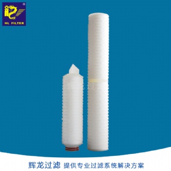 輝龍過(guò)濾PP折疊微孔膜筒式濾芯