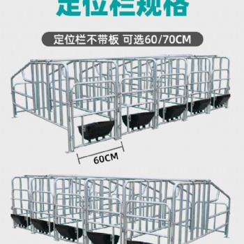 落地式定位欄 母豬定位欄 養(yǎng)豬場限位欄 60cm70cm欄寬