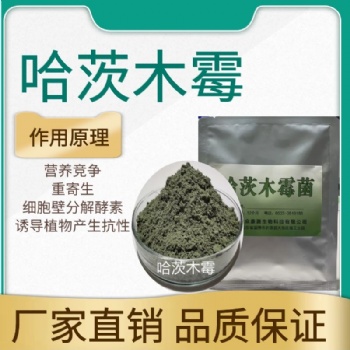 哈茨木霉 大姜種植 草莓種植用菌種
