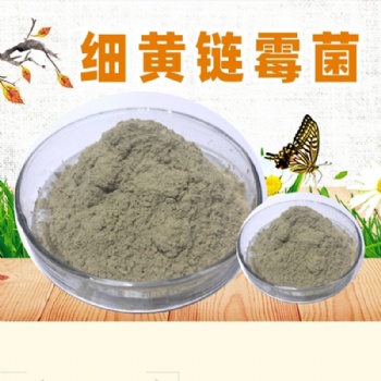淡紫擬青霉 瓜果蔬菜預防根結(jié)線蟲用菌種