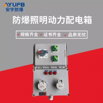 安宇防爆配電箱BXMD53-4K-6** 氫氣站IIC級防爆照明動力配電箱
