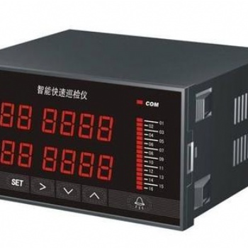 雙通道智能顯示調節儀