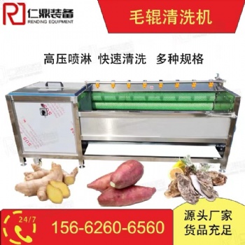多功能毛輥清洗去皮機生姜蓮藕土豆蘿卜全自動清洗去皮