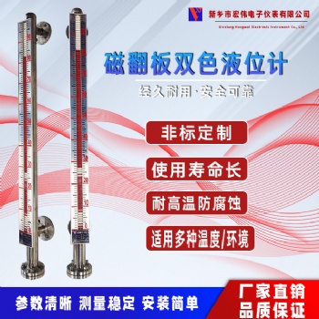 側裝磁敏電子雙色水位計遠傳物位計