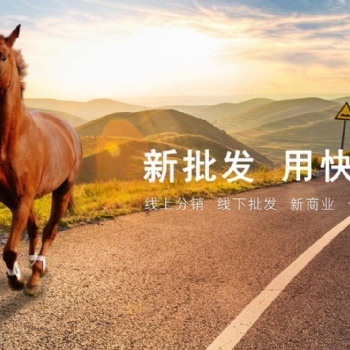 青州管家婆軟件快馬批發(fā)軟件