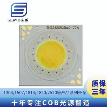2424外形20發(fā)光面RGBWC全彩COB光源77W36V