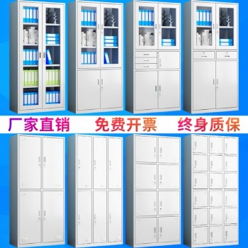 石家莊財務(wù)憑證柜檔案柜矮柜通玻中二斗文件柜