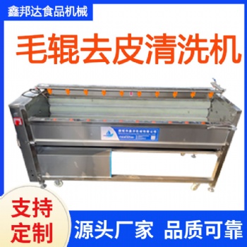 土豆去皮毛輥清洗機(jī) 胡蘿卜清洗設(shè)備 大姜毛輥清洗機(jī)