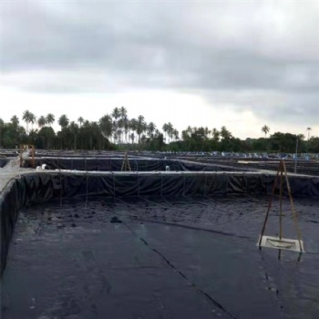 防滲膜大型垃圾填埋場固體尾礦庫污水處理池防滲膜