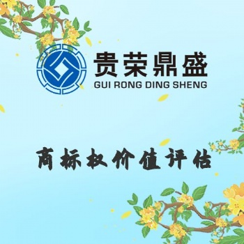 浙江省寧波市商標(biāo)權(quán)價(jià)值評(píng)估資產(chǎn)評(píng)估今日更新