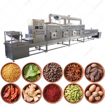 廠家供應 蔬果脫水微波干燥機 農副產品微波烘干機 馬鈴薯烘干機