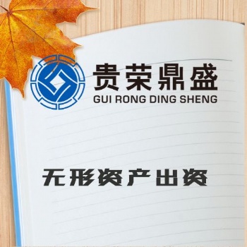 河南省許昌市無(wú)形資產(chǎn)出資評(píng)估今日新訊