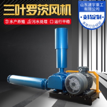 建宇重工三葉羅茨風機 污水處理 水產增氧