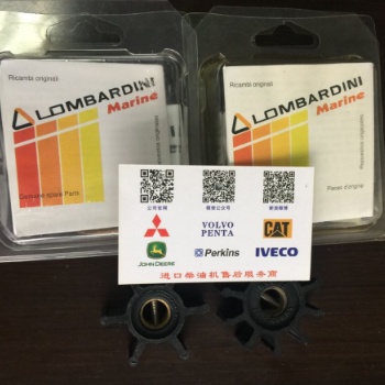 **意大利隆巴帝尼LOMBARDINI柴油發電機配件和LOMBARDINI濾清器