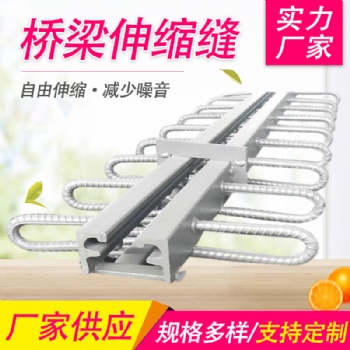 公路橋梁伸縮縫C40 60 80型毛勒縫模數式伸縮縫橋梁伸縮縫送膠條