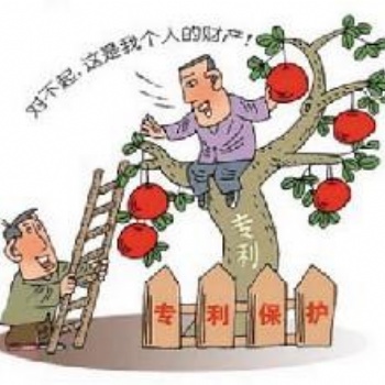 專做知識產(chǎn)權(quán)為企業(yè)免費布局商標專利軟著高新企業(yè)等