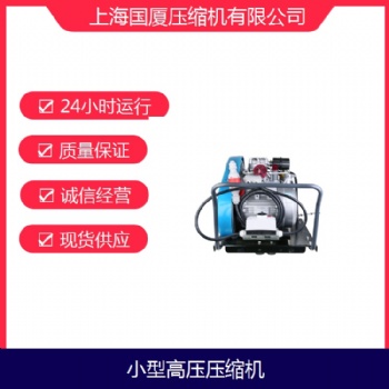 45兆帕壓力消防潛水用空氣呼吸器充氣泵國(guó)廈生產(chǎn)廠家