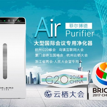 室內空氣凈化器 車載空氣凈化器 凈化甲醛 凈化霧霾 二手煙