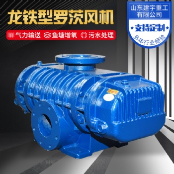 建宇重工龍鐵型羅茨風機 氣力輸送 魚塘增氧