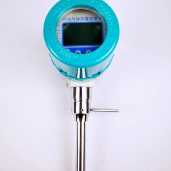 經濟型熱式氣體質量流量計