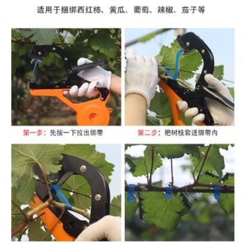 綁枝機廠家，葡萄綁枝器的常見問題