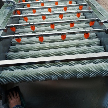 電動毛輥生姜脫皮清冼機 土豆清洗去皮機