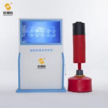 智能多維擊打吶喊宣泄系統(tǒng)XZX-DW-JN