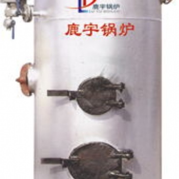 鹿宇 LSG立式燃煤蒸汽鍋爐點(diǎn)