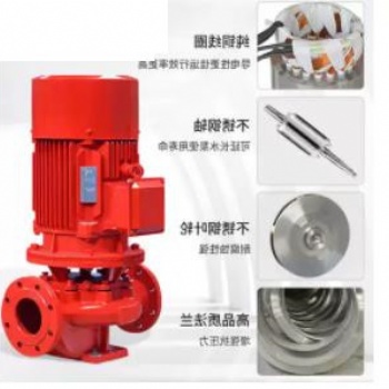 XBD消防泵 自噴加壓泵 消防泵廠家 XBD6.0/20G-L 22KW