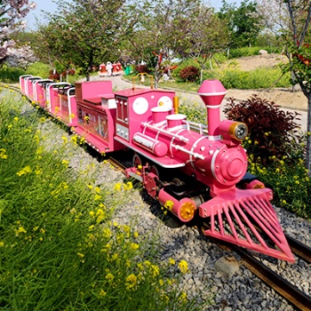 大型商場公園兒童小火車設(shè)備