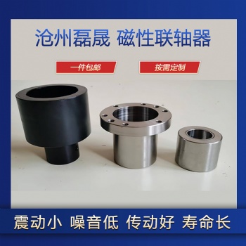 滄州磊晟廠家供應(yīng)各種型號永磁徑向聯(lián)軸器油泵磁性傳動件 可定制