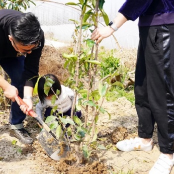 上海春季團建一日游推薦長興島植樹摘草莓騎行游玩活動