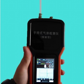 GX-CP6復(fù)合氣體檢測(cè)儀
