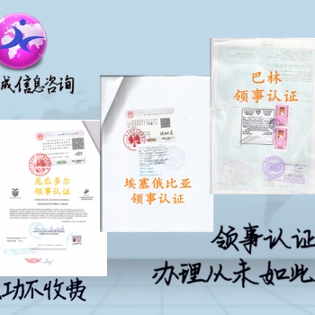 招標合同尼日利亞使館認證