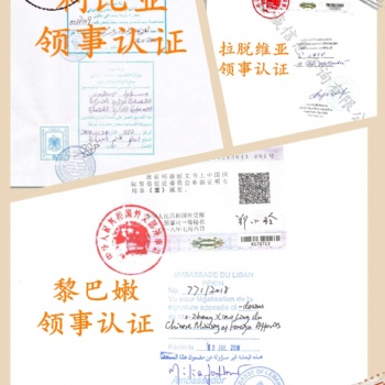 巴林領(lǐng)事加簽授權(quán)公證、護(hù)照公證