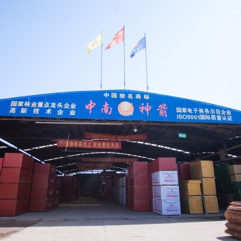 中南神箭 建筑竹膠板 20年專業(yè)生產(chǎn) 木膠合板強度的4-5倍 拆模速度快