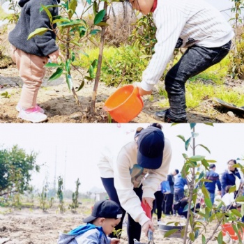 上海桔園農莊郊游踏青項目推薦騎行植樹戶外燒烤