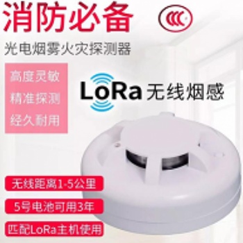LORA智能無線煙感報警器ADJ-880煙感一鍵報警